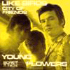 Young Flowers: Like Birds/City of Friends